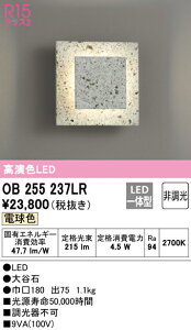 (LINEクーポン有)(送料無料) ODELIC OB255237LR ブラケットライト LED一体型 電球色 非調光 オーデリック