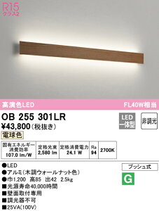 (LINEクーポン有)(送料無料) ODELIC OB255301LR ブラケットライト LED一体型 電球色 非調光 オーデリック