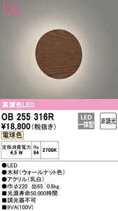 (LINEクーポン有)(送料無料) ODELIC OB255316R ブラケットライト LED一体型 電球色 非調光 オーデリック
