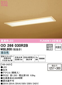 (LINEクーポン有)(送料無料) ODELIC OD266030R2B ベースライト LED一体型 昼白色 非調光 オーデリック
