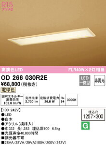 (LINEクーポン有)(送料無料) ODELIC OD266030R2E ベースライト LED一体型 電球色 非調光 オーデリック
