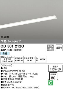 (LINEクーポン有)(送料無料) ODELIC OD301212C ベースライト LED一体型 白色 非調光 オーデリック