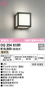 (LINEクーポン有)(送料無料) ODELIC OG254610R エクステリアライト LED一体型 電球色 オーデリック