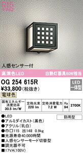 (LINEクーポン有)(送料無料) ODELIC OG254615R エクステリアライト LED一体型 電球色 人感センサー付 オーデリック