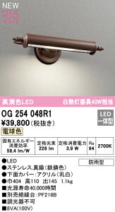 (LINEクーポン有)(送料無料) オーデリック OG254048R1 エクステリアライト LED一体型 電球色