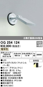 (LINEクーポン有)(送料無料) オーデリック OG254124 エクステリアライト LED一体型 電球色