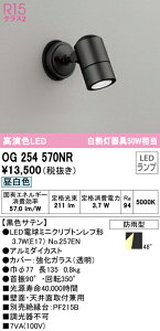(LINE�N�[�|���L)�I�[�f���b�N OG254570NR �G�N�X�e���A���C�g LED�����v �����F