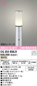 (LINEN[|L)() I[fbN OG254658LR GNXeACg LEDv dF ÃZT[t