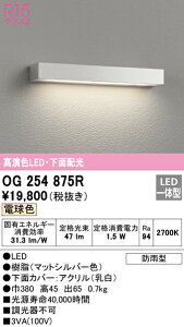 (LINEクーポン有)(送料無料) オーデリック OG254875R エクステリアライト LED一体型 電球色