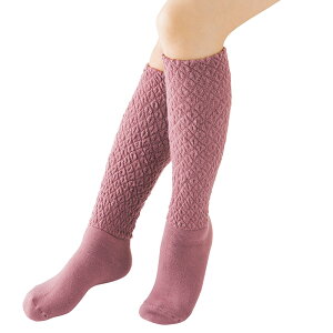 { ₦Ƃ C \bNX   fB[X Y h Mtg g  ɂ ނɂ Lт₷ Lk Xgb` ₦ ܐ w  킢 