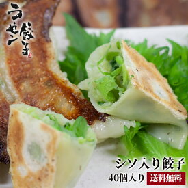 1つ1つ手包みした プロ御用達 餃子専門店の 手作り シソ入り 餃子セット (60個入り)【 しそ餃子 餃子 焼き餃子 焼餃子 美味しい餃子 冷凍餃子 手作り餃子 餃子セット 餃子 ぎょうざ ギョウザ しそ セット おつまみ 手作り 業務用 冷凍 絶品 お取り寄せ ビールのつまみ 】