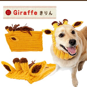 Y[Xk[Y ybgpRX`[ MTCY p Xk[h h ybgp t@bV  ybg ^ Zoo Snoods Dog Costume
