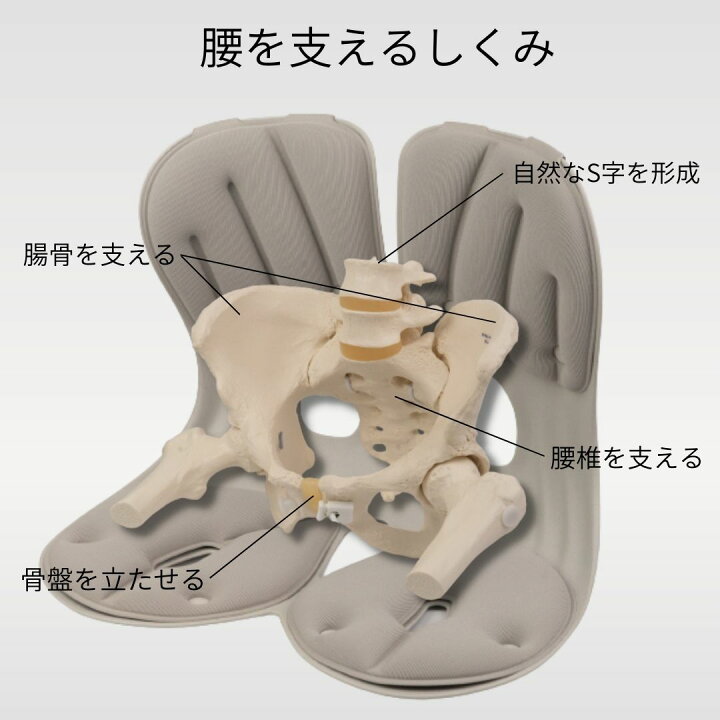 楽天市場】カーブルチェア グランド 2個セット姿勢矯正 腰痛 猫背 骨盤 