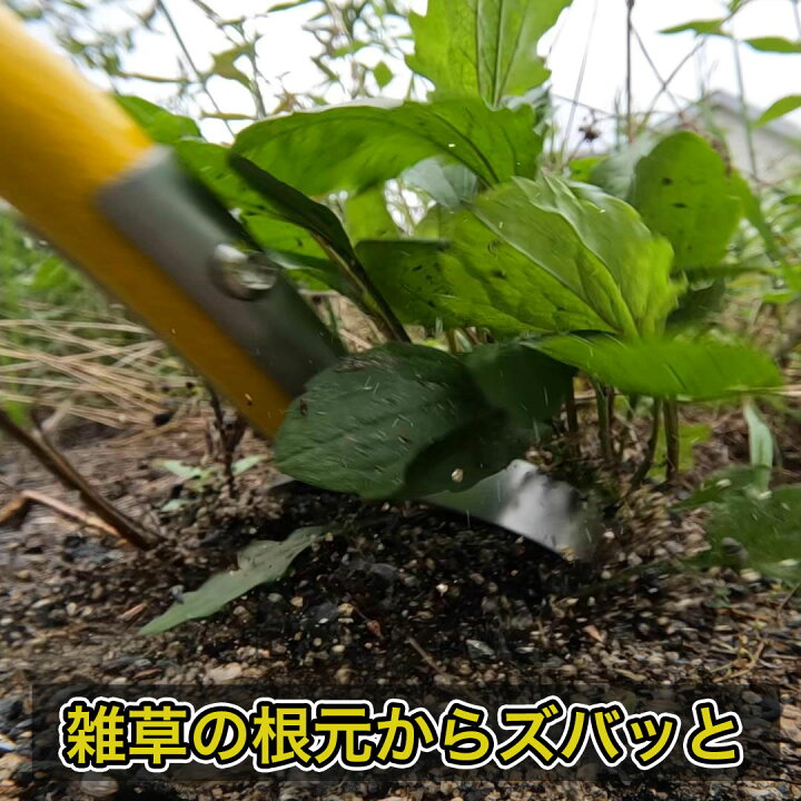 楽天市場】スキッジャー 草刈り 草取り 雑草取り 道具 立ったまま 鎌 