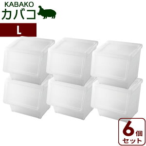 [P[X PROfix JoR L NA 6Zbg b ߑP[X [{bNX vtBbNX KABAKO ςݏd t^t ᔠ OJ d˂ X^bLO