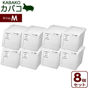 [P[X PROfix JoR m XM zCg 8Zbg b ߑP[X [{bNX vtBbNX KABAKO ςݏd t^t ᔠ OJ d˂ X^bLO