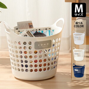 RoXPbg M zCg / i` / lCr[ b 󂩂 h[oXPbg E߂  [ h[bN   pi {