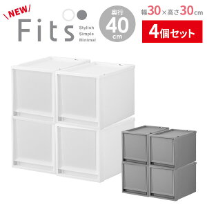 fits 衣装ケースの人気商品・通販・価格比較 - 価格.com