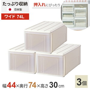 [P[X Ղ[P[X 44×s74×23 / 30cm zCg Ch74M / Ch74Lb   [ o [{bNX ߑP[X ςݏd ߗ   vX