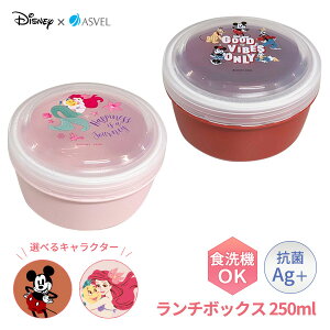 ٓ `{bNX STR-250C 250ml b fBYj[ ٓe  H@Ή Ⓚ WOK T_ t[c w V ~bL[ g}[Ch