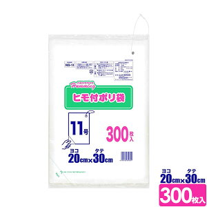qt| n~OpbN 11iR20×^e30cmj 300 NS-11 b rj[ | Rt 1  Ђt ݉ ݂ Ɩp Lb` S~