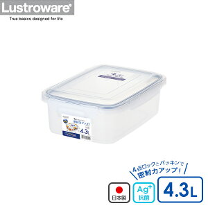 ۑe X}[gbN W{P[X 4.3 B-2894 KN b t[hXgbJ[ e ^ 4_bN   R { ybgt[h  ۑe  ʂЂ