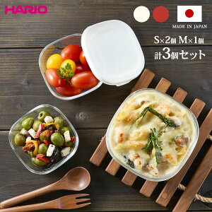 HARIO nI ϔMKXۑe 3Zbg 250ml×2/600ml×1 ItzCg / bh b ۑe ϔM KX p^ ϔMe { H@Ή dqW I[u 