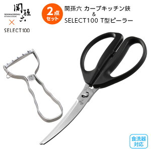 L ֑Z J[uLb`oT~ + T^s[[Zbg b Lb`oT~ s[[ pnT~ ނ ނ XeX HOK SELECT100 |Xg [ 
