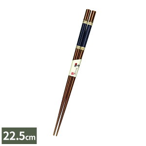  RېH Zp 22.5cm  b ͂ { H@Ή  l  ₷ Vv IV [ 