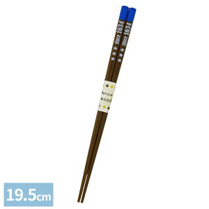  H ubN 19.5cm  b ͂ { H@Ή  qǂ  ₷ Vv IV LbY q [ 