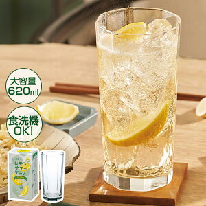 T[OX ^u[ 620ml B-00118-JAN-P b EGT[ Ē e H@Ή { Vv 傫 r[ nC{[