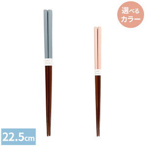  H }VF 22.5cm J[: u[ / sN b ͂ { H@Ή  l  ₷ Vv IV [ 