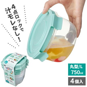 ۑe pbNX^bt WXgbN ی^ Li750mlj 4 b Ⓚ dqW OK u { H@Ή ٓ `Ȃ e vX`bN t[hRei ٓ