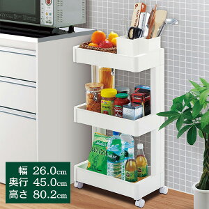 Lb`S X}[gSFit W250 3i zCg F-2593 b Lb`bN [S ړ LX^[ bN  3i J[g y Vv SbN Ԏ[