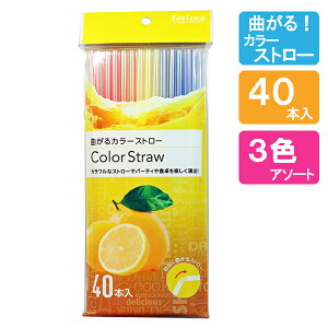 Xg[ tB[O ȂJ[Xg[ 3FA\[g XgCv 40{ b Ȃ ܂ Jt }`J[ 21cm ĝ