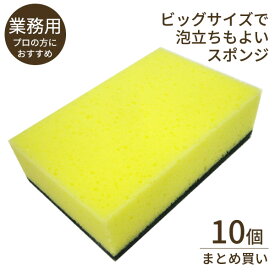 スポンジ キッチン 業務用PRO ナイロンスポンジ ハード 10個セット KG-004 ｜ 食器用 ナイロンスポンジ 食器洗い 使い分け 研磨剤入り 業務用 まとめ買い