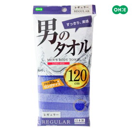 洗身タオル 男のタオル ナイロンタオル レギュラー ｜ ボディタオル ふつう ロング タオル 泡立ち 長い 背中が洗いやすい 普通 ポスト投函 メール便 送料無料