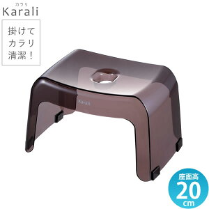 b`F C֎q 20cm J  20H X[NuE b oX`FA |   CX Xc[  t  ₷ oXpi Karali