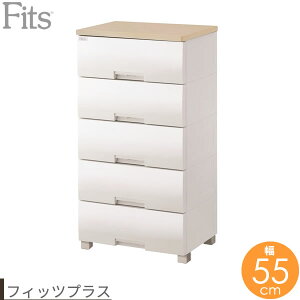 ߗރP[X Fits tBbcvX (r^Cv) 55×s41×105cm [v F5505 b m [ ^X [P[X ߗގ[ m_X ߑP[X o m\y