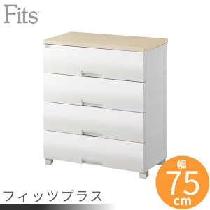 ߗރP[X Fits tBbcvX (r^Cv) 75×s41×85cm [v F7504 b m [ ^X [P[X ߗގ[ m_X ߑP[X o m\y