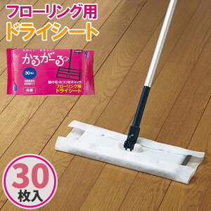 hCV[g 邪[ t[OphCV[g 30 b t[OV[g Cp[V[g hC^Cv