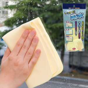 G X|W z PVA_X^[ 32×21cm 2 b HƂ IƂ VN   ʑ