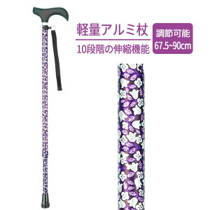  [XebL Lk ԕ AS-10 b A~ Lk XebL y