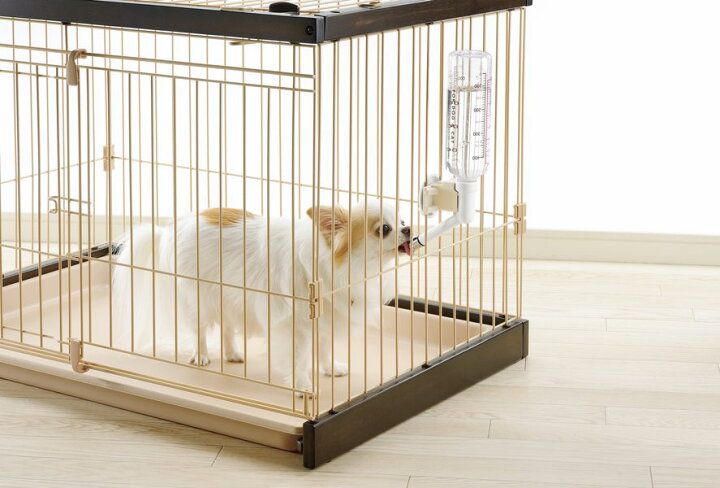 楽天市場 ペット 給水器 リッチェル ウォーターノズル ボトル付 ホワイト 水飲み ウォーターノズル 犬 猫 生活雑貨マーケット マスト