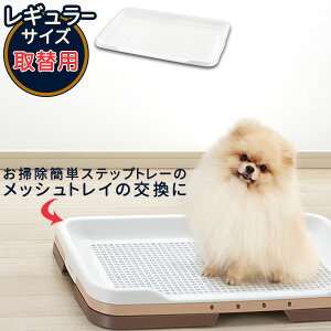 b`F p g[ |ȒPg[bV M[ b pp[c ւ i bVg[̂ V[cg[ gC