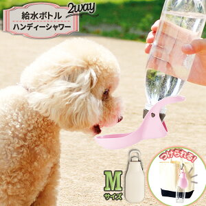 b`F  @ UnfBV[ M AC{[ b  V[ 2WAY  ybg{g  ЂÂ ɂ U o G`Pbg