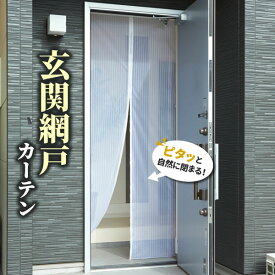 楽天市場 玄関 ドア 目隠しの通販