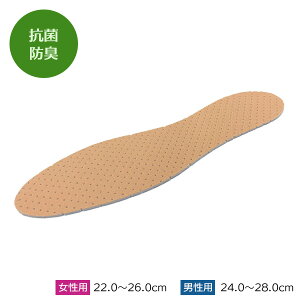 インソール 緑茶カテキンインソール 男性用/女性用 | 中敷き 防臭 消臭 抗菌 通気孔 蒸れない ムレにくい 通気性がいい クッション 靴 疲れにくい レディース メンズ シューズ メール便 送