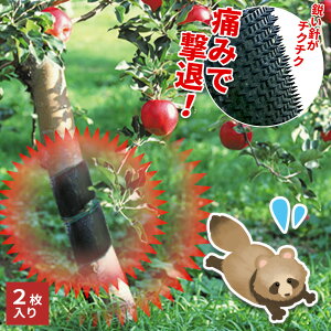 b悯 Qb΍ObY ɃK[ ubN 2 EG-56 b j `N`N   ؓoh~ HQ ʎ `  ݂ ʕ h~ 