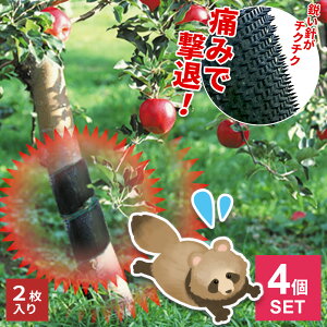 b悯 Qb΍ObY ɃK[ ubN 2 4Zbg EG-56 b ܂Ƃߔ j `N`N   ؓoh~ HQ ʎ `  ݂ ʕ h~  4Zbg